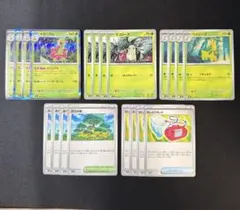 メガニウム　進化ライン　おいしげる　活力の森　むしとりセット