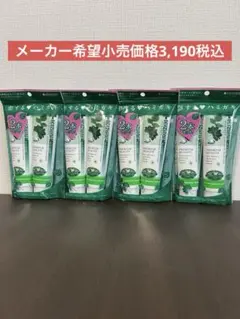 未使用品】 廃盤 入手困難 資生堂 ティセラ 『トコナッツココナッツ