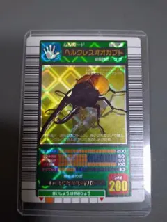 002ヘルクレスオオカブト 2003春 学名白