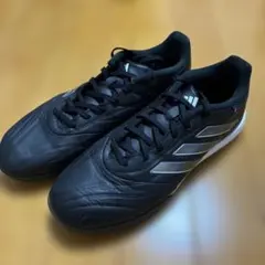 Item thumbnail for item 298bb399-51e0-417a-887a-4e7a4b627003