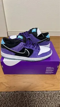 NIKE SB DUNK LOW PROヘイリーウィルソン