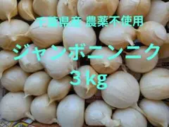 ひろあき 千葉県産 ジャンボニンニク15kg栽培期間中農薬不使用 千葉県産 ジャンボニンニク3kg栽培期間中農薬不使用 - メルカリ