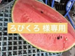 ろぴくろ様専用