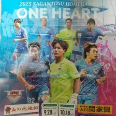 2026年最新】サガン鳥栖+ポスターの人気アイテム - メルカリ