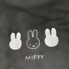 Item thumbnail for item e3a60ae0-492e-49fc-a4f7-899bb11ccbe2