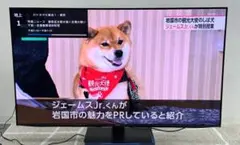 新品メーカー保証付】HITACHI製55インチテレビ【Amazonより安い