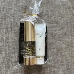 Item thumbnail for item c6eddb40-09e3-48bc-94ad-53a0ca87f221