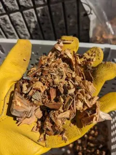 初版】「ウッドストック陰茎斬り（ファロスカッター）」草間 彌生