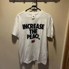 値下⭕️ INCREASE THE PEACE STUSSY NIKE SHIRT