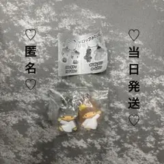 【匿名当日発送】 なかよしドロップチャーム　キキララ