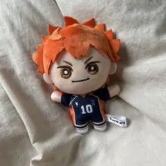 日向翔陽 ぬいぐるみ