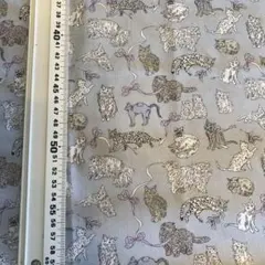 Item thumbnail for item 11355fb8-7851-4638-95db-7900aa2ed0e0