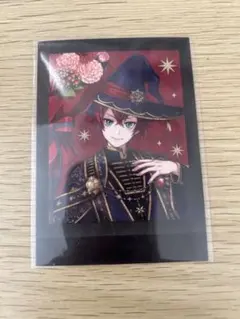 『匿名配送』ツイステッドワンダーランド ぱしゃこれ ブルームバースデー リドル