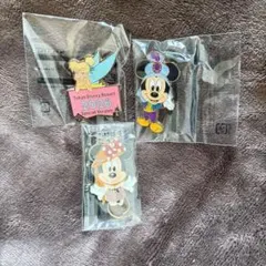 東京ディズニーシー アズールバザール ピンバッジ セット