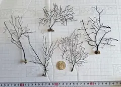 まいまい様 リクエスト 4点 まとめ商品