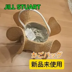 【新品】JILL STUART かごバッグのサムネイル