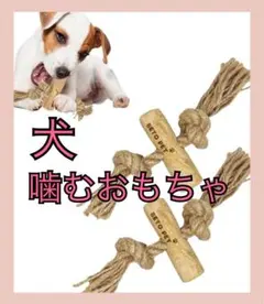 Item thumbnail for item 5904d1d2-a700-4883-a559-97283d33eb7f