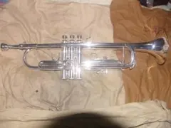 Item thumbnail for item bab54d9b-091d-4946-826a-972e60b7921e