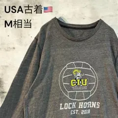 USA古着　プリント ロンT グレー メンズM相当 カレッジ　バレーボール