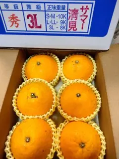 サマー清見美味しいです　大玉2000gほどのサムネイル