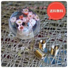 Item thumbnail for item ac7b2b52-84a1-4f91-ac99-3550bec5a3b8