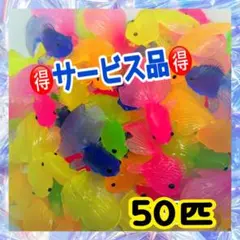 金魚50匹 金魚すくい 水遊び お祭り 縁日 おうち縁日のサムネイル