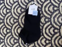 Item thumbnail for item 90b1909d-7a7a-494d-95cb-ffbf2792eec8