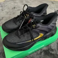 ナイキ NIKE バスケットシューズ バッシュ ヤニス FQ3681 27cmのサムネイル