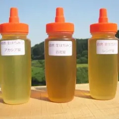 ❤️アカシア蜜２本&レンゲ蜜２本&百花蜜２本　生はちみつ　自家製蜂蜜