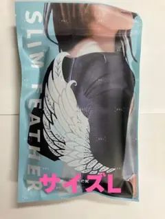 2点SLIM FEATHER スリムフェザー 二の腕着圧 Lサイズ