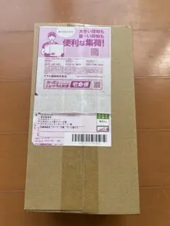 ✨完全未開封✨ポケモンカード スペシャルBOX ヒロシマ 当選品 届いたまま発送