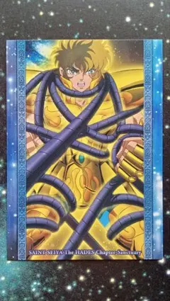 聖闘士星矢 冥王ハーデス十二宮編 牡羊座シオン - メルカリ