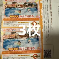 東京サマーランド　1dayフリーパス　株主優待招待券　残り3枚　⑤ 東京サマーランド 1Dayパス 株主優待券 3枚 即日投函 遊園地フリー