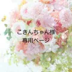 こきんちゃん様専用ページ