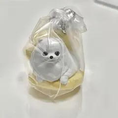 いぬぱん リターンズ ポメラニアン×メロンパン