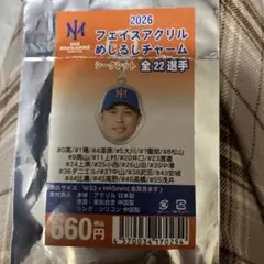 オイシックス新潟アルビレックス 2026 フェイスアクリルめじるしチャーム