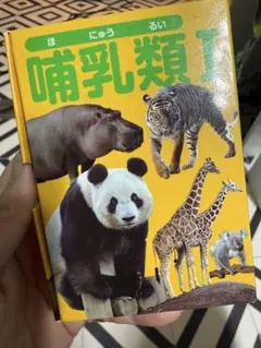 Item thumbnail for item cb4e638b-2f18-4247-b89a-139895477718