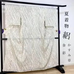 ZY-682 夏着物 絽 カスミソウ 金彩 総柄 広衿 高級 上質