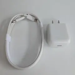 USB-C充電ケーブルとアダプタセット