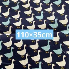 Robert Kaufman アヒル柄 綿生地 約110cm幅×35cm