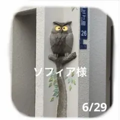 ソフィア様のサムネイル