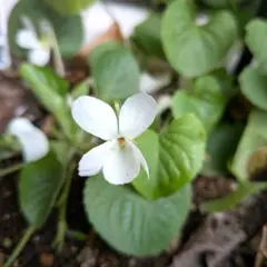 まっちゃん様 リクエスト 2点 まとめ商品