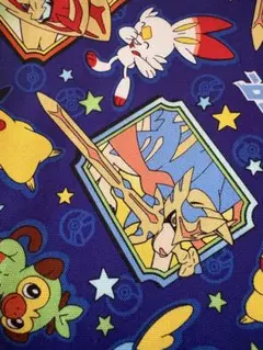 ポケモン　布　30✖️100 青