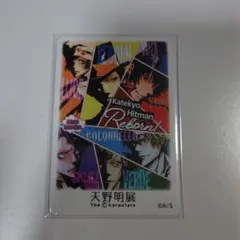 天野明展 家庭教師ヒットマンリボーン マグネットステッカー アルコバレーノ