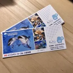 【24時間以内発送】新江ノ島水族館 チケット２枚招待券　水族館チケット えのすい