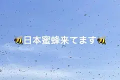 Item thumbnail for item 9cd2fe13-ff5d-4d35-af6f-6c0e91ed9bed