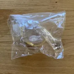 うちの子のけだまだま　シャムトラ