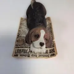 サンディキャスト　激レア ビーグル