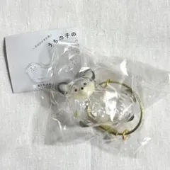 うちの子のけだまだま　犬　ペットの毛の入れ物　チワワ