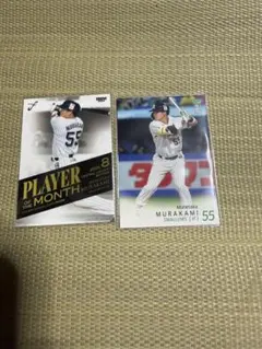 Item thumbnail for item 52855af9-d06a-44d6-8659-ceb783aa792a